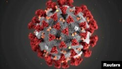 Ilustracija korona virusa