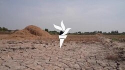 سیند کې خلک د څښاک او کرنې لپاره کافي اوبه نه لري