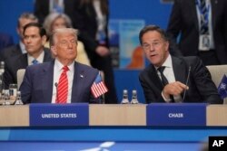 Президент Сполучених Штатів Дональд Трамп слухає Генерального секретаря НАТО Марка Рютте під час пленарного засідання Північноатлантичної ради на саміті НАТО в Гаазі, Нідерланди. 25 червня 2025 року