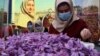 Afghan women sort saffron flowers in Herat, Afghanistan in November.