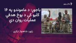  چارواکي وايي په باجوړ کې پوځي عملیات پیل شوي دي