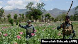 حیدري: زموږ سره په دې اړه همکاري ونه شوه.