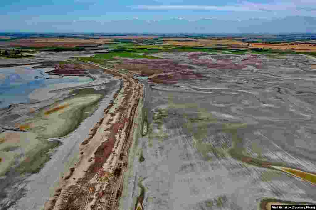 "Спартак" суу сактагычында убагында Чүй, жалпы эле Кыргызстан боюнча балыктын эң көп түрлөрү бар эле.