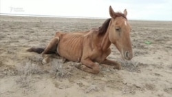 Табият кырсыктары дагы көбөйөт