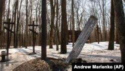 Bombele cu dispersie pot fi lansate din aer sau de la sol. Șase tipuri au fost folosite până acum, în războiul comandat de Vladimir Putin.