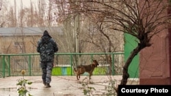 Бишкек шаардык милиция тараткан сүрөт. 