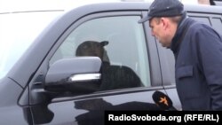 Сергій Книш, кандидат до Верховного суду