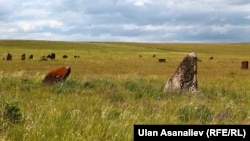 Алтайдагы кыргыз жоокерлерине коюлган таш эстеликтер. 