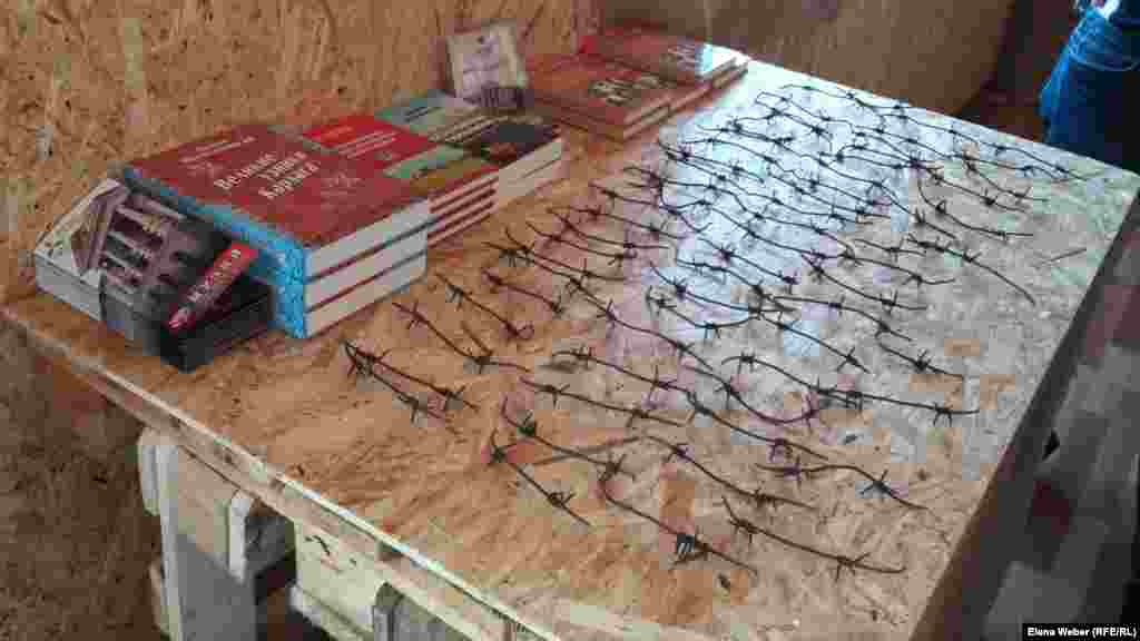 В поселке Долинка, рядом с сохранившимися с "карлаговских" времен объектами и домами, на днях открылся маленький сувенирный магазин. В числе главных сувениров: колючая проволока за 600 тенге (около двух долларов), книги о Карлаге и много других сувениров, сделанных руками заключенных, которые отбывают свой срок в районе Долинки. Продавцы полагают, что в связи с предстоящей выставкой ЭКСПО их сувениры будут пользоваться спросом у туристов, которых здесь, как ожидается, будет много.