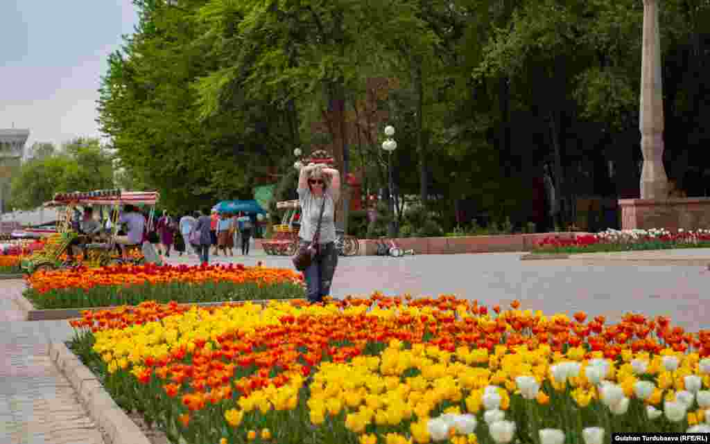 Жоогазындын кооздугуна суктанган аял.