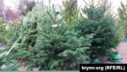 Елочный базар в Керчи