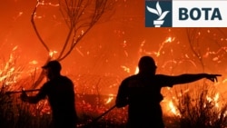 Ballkani në flakë: Zjarret marrin jetë dhe shkatërrojnë shtëpi e objekte