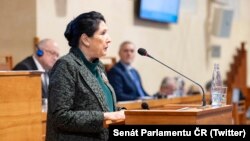 სალომე ზურაბიშვილი ჩეხეთის სენატის წინაშე სიტყვით წარდგა.