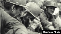 Минає 65 років відтоді, як перші українські мігранти прибули з німецьких таборів біженців на важкі роботи у вугільних копальнях Бельгії