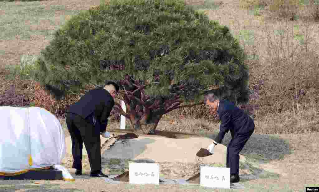 Та вирушили садити сосну. Голови двох держав посадили сосну, яка вперше проросла в 1953 році, коли Сеул і Пхеньян підписали угоду про перемир&rsquo;я під час Корейської війни