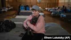 Майже 5,7 мільйона українців нині є воєнними біженцями, за даними УВКБ ООН