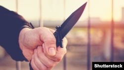 Иллюстративное фото 