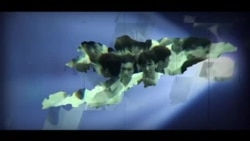 Эгемендик - 25: Катылган жаранын карты (2-чыгарылыш)