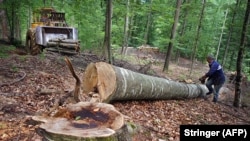 Tri osobe kojima je određen pritvor su osumnjičene za zloupotrebu položaja i ovlašćenja (ilustrativna fotografija)