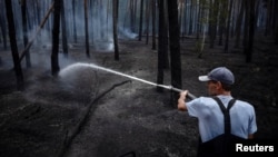 Un pompier stinge un incendiu într-o pădure de lângă Yarova, în Parcul Național Național Munții Sfinți, în iulie.