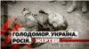 Стверджувати, що всі постраждали від голоду однаково, ‒ неправильно – український демограф Наталія Левчук (для колажу використано фото Александра Вінербергера)