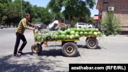 Illýustrasiýa suraty. Türkmenabatda galtakly garpyz daşaýan oglanlar.