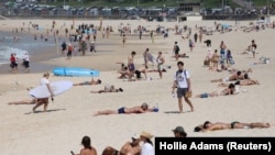 Бонди-бич жағажайы. 