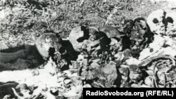 Місце першого розкопу у Сандармосі. Ось що побачили представники Санкт-петербурзького «Меморіалу» та Юрій Дмитрієв 1 липня 1997 року.