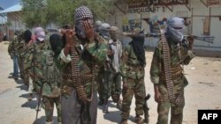 آرشیف، شماری از جنگجویان القاعده