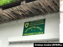 Remanierea din pădure