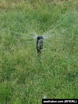 Работники парка мастерят брызгалки из подручных средств