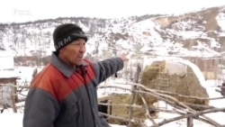 Жер көчкүдөн коркпогон ортоктуктар