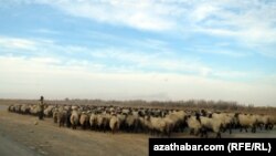 Туркменистан