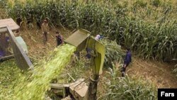 ارشیف: په ایران کې یو شمېر کارګران د کار پر مهال