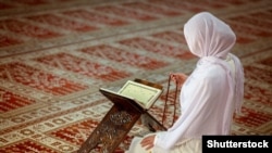 Иллюстратив фото