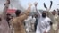 FILE: Members of minority Sikh community shout protest in the northwestern city of Peshawar.