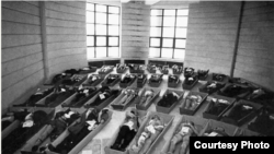 Morga principalului spital din Timișoara pe 23 sau 24 decembrie 1989. După ce dictatorul pe care revoluționarii din Timișoara îl voiau plecat, plecase.