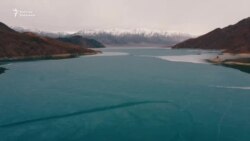 Эл-жерди баккан Орто-Токой