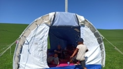 Сузак району, Кара-Март айылы. 12-май 2020-жыл.