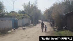 Рустои Қизилнишони ноҳияи Қубодиён. Акс аз соли 2015