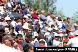 Көк бөрү көрүүчүлөрү