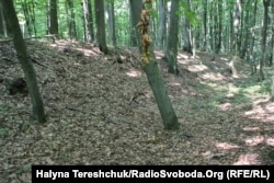 Земляні вали колишнього давнього міста Стільсько