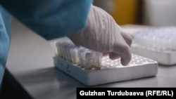 Иллюстрациялык сүрөт.