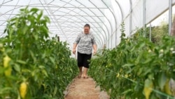 Në 4 ari tokë, Shqipja rindërton jetën e saj