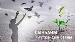 "Сүрөт тартканда кайгымды унутам..."