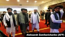 په قطر کې د طالبانو د سیاسي دفتر مشر ملا برادر په مشرۍ د دغې ډلې یو شمېر مشران