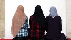 Жоолуктан чыккан чыр кантип жөнгө салынат?