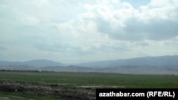 Gökedepe etrabynda bugdaý ekilen meýdan. 2018.