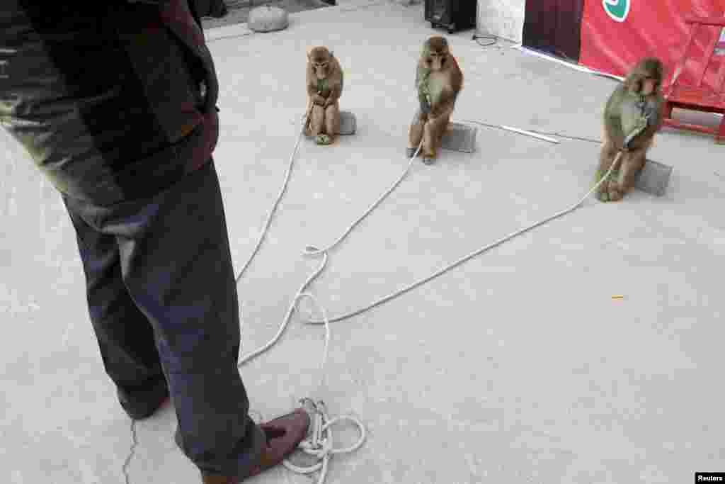 Однако в Ассоциации признаются, что профессия стала вызывать большее уважение у публики