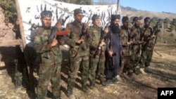 اعضای تحریک طالبان پاکستان که عمدتا در مناطق سرحدی میان افغانستان و پاکستان فعالیت می کنند